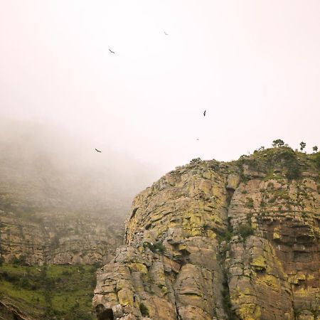 Cape Vulture Conservancy Hoedspruit Exterior photo