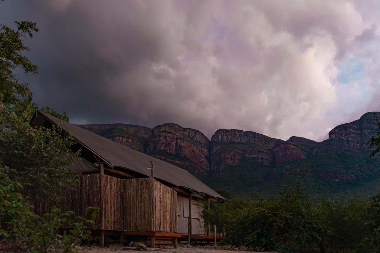 Cape Vulture Conservancy Hoedspruit Exterior photo